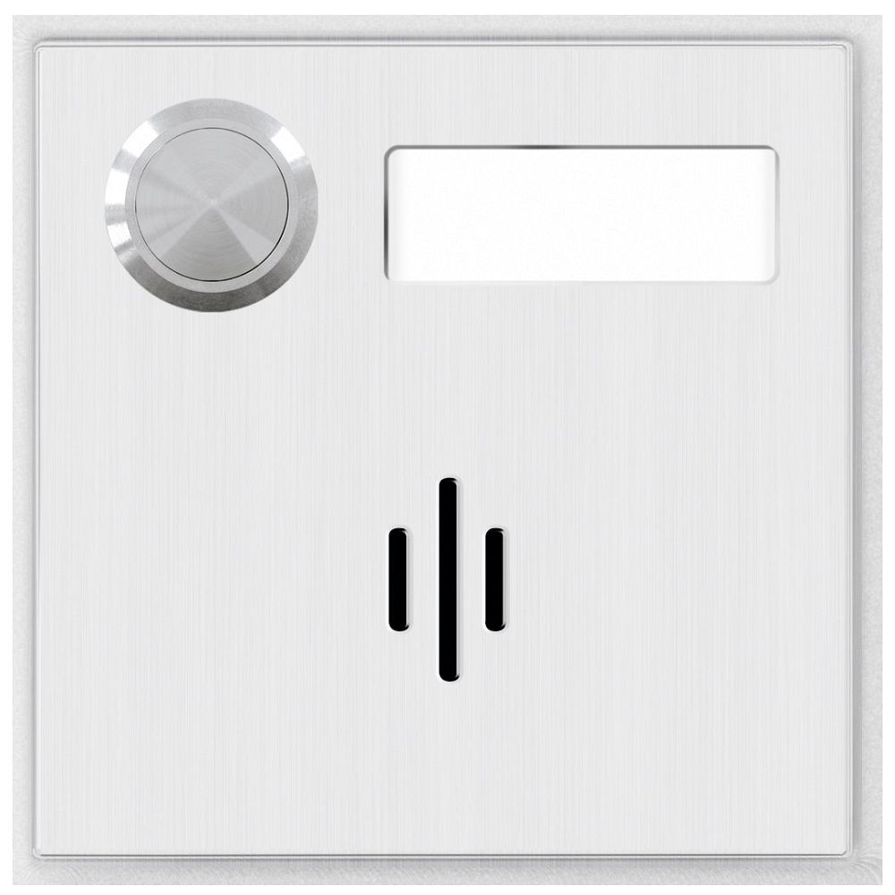 Behnke Modul Mikrofon oval in der Mitte + 1 Taste