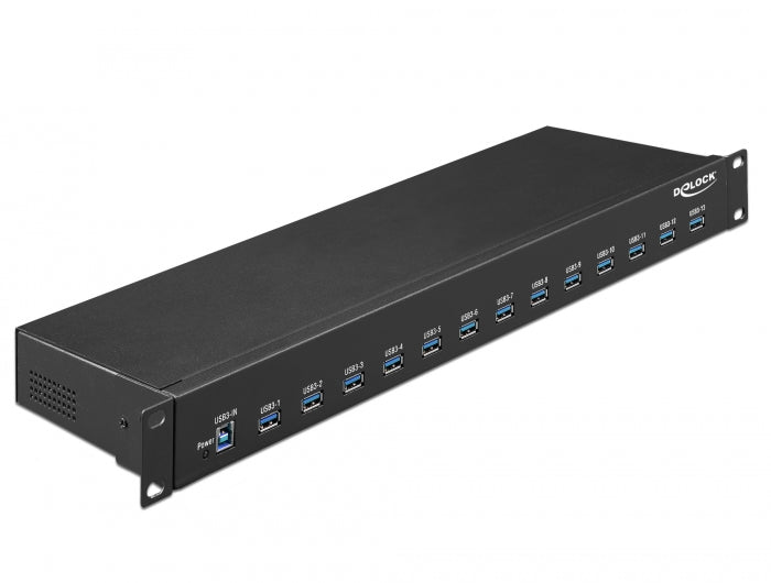 Delock 19 Industrial Hub 13 x USB 3.1 Gen 1 Type-A