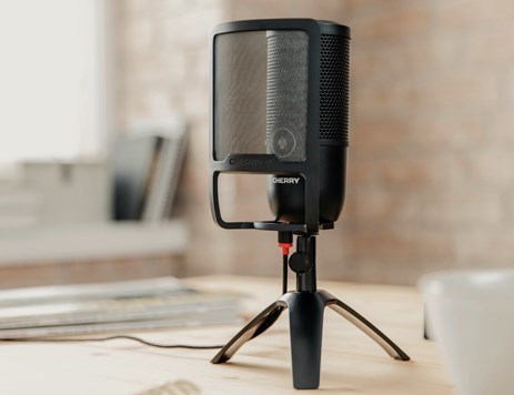 CHERRY UM POP FILTER