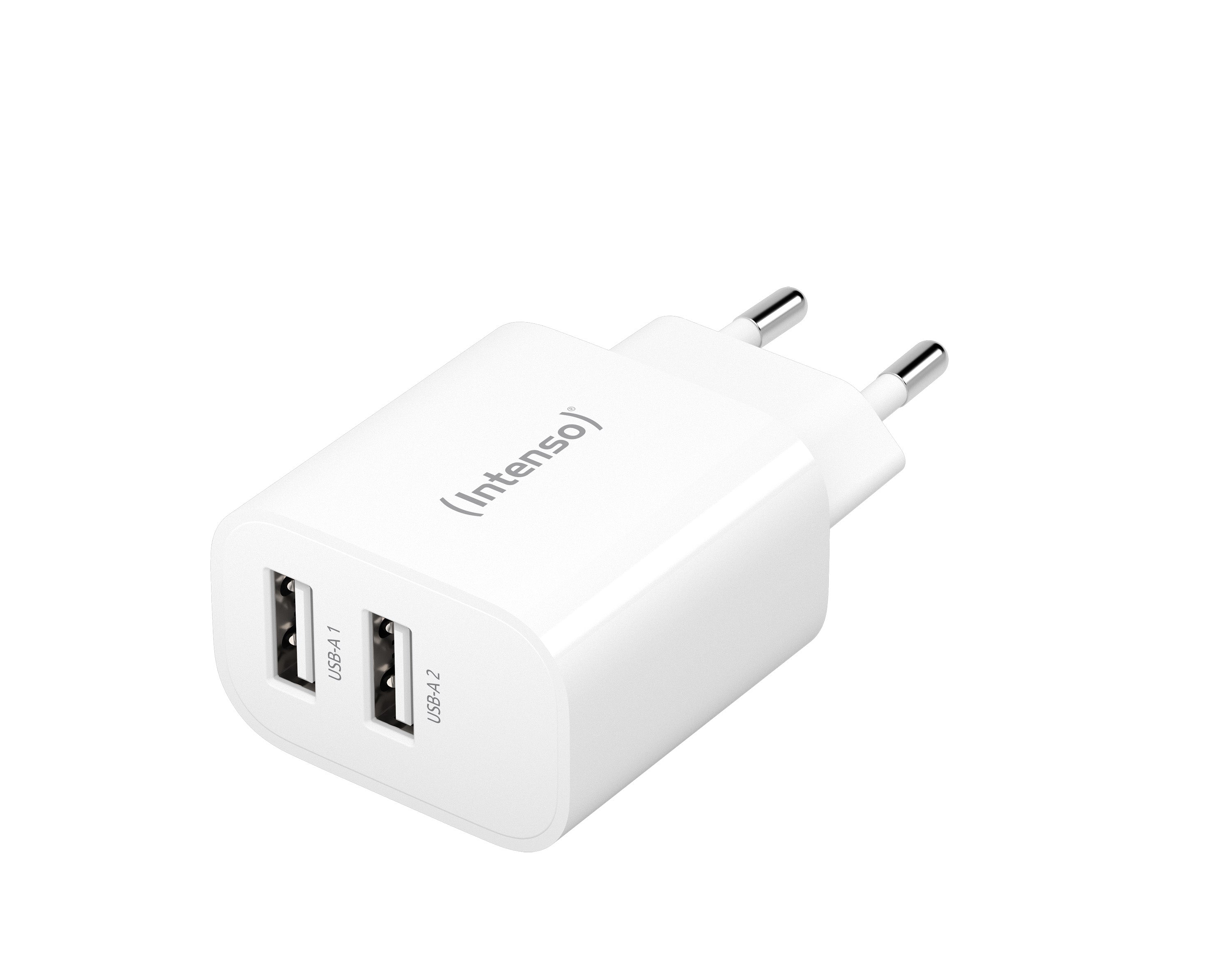 Intenso 2x USB-A adapter white