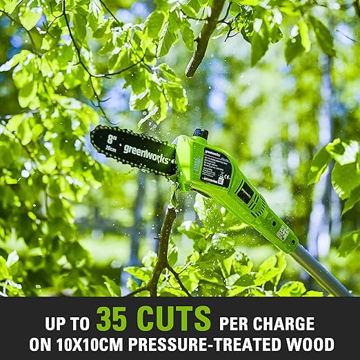Greenworks Tools 24V Li-Ion Battery Polka Saw with 24V 2Ah Battery and Charger 