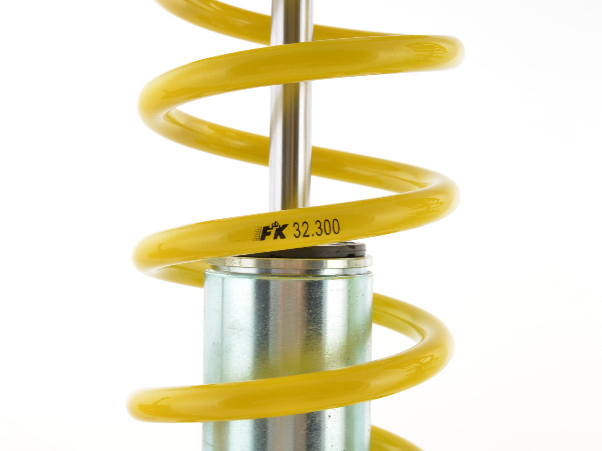 FK coilover sports suspension Honda Civic type EG2, EG3, EG4, EG5, EG9, EH6, EJ2, EJ6, EJ8, EJ9, EK3, EK4 year of manufacture 91 - 00