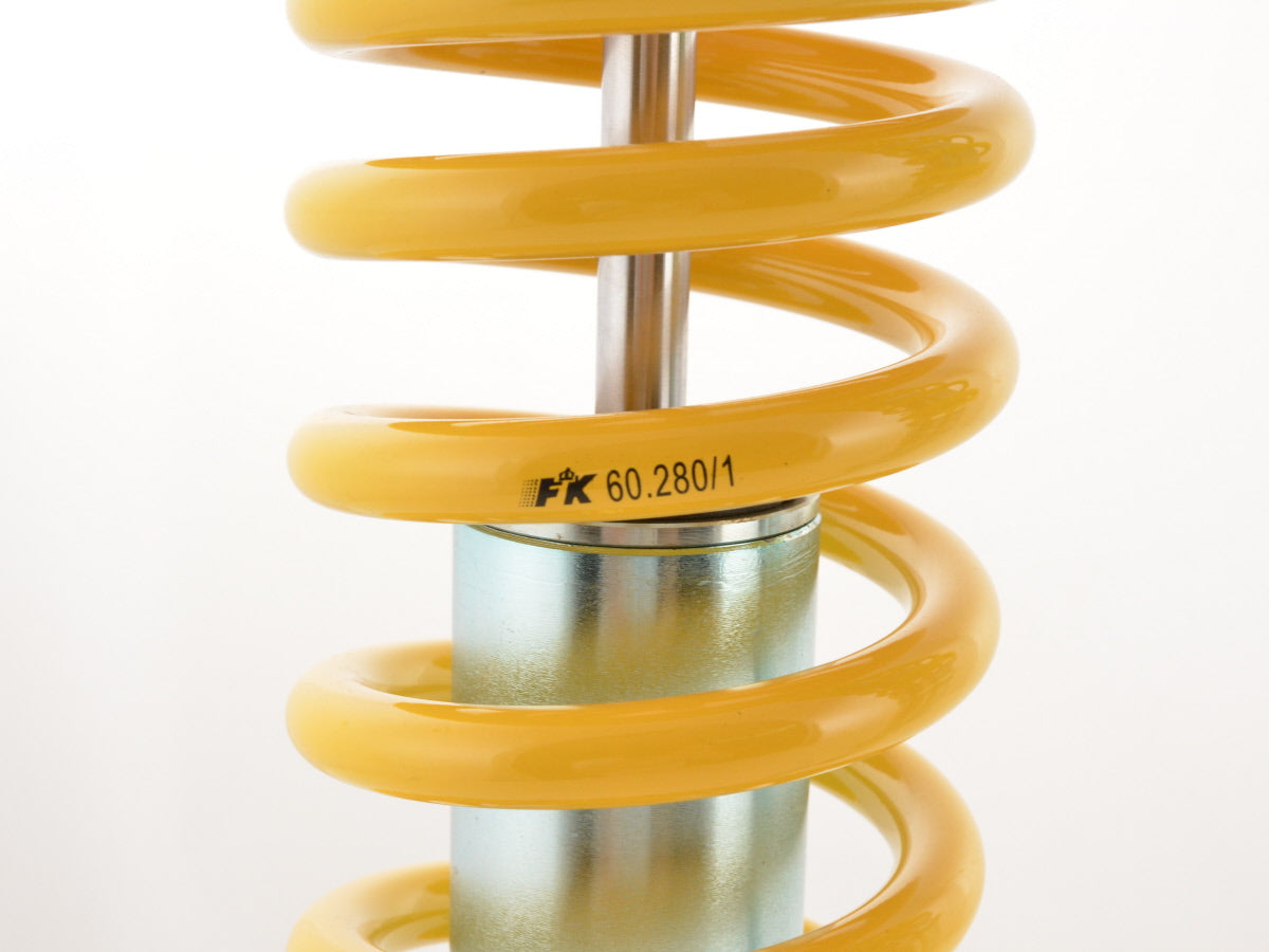 FK coilover sports suspension Honda Civic type EG2, EG3, EG4, EG5, EG9, EH6, EJ2, EJ6, EJ8, EJ9, EK3, EK4 year of manufacture 91 - 00